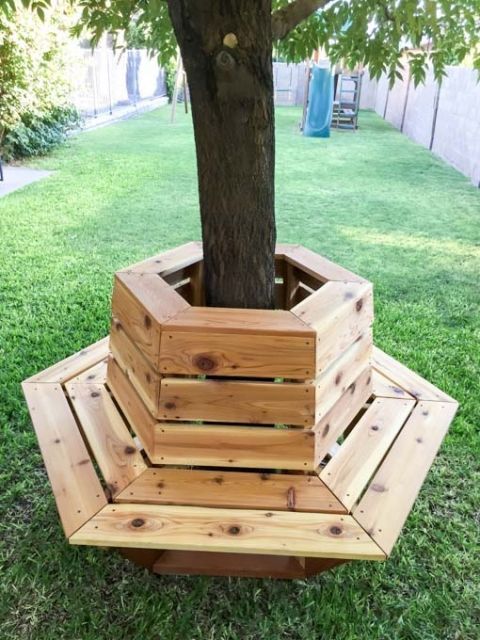 banco con arbol