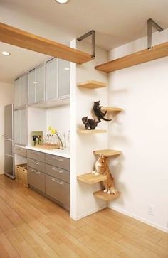 Ideas DIY para crear espacios para gatos (1)