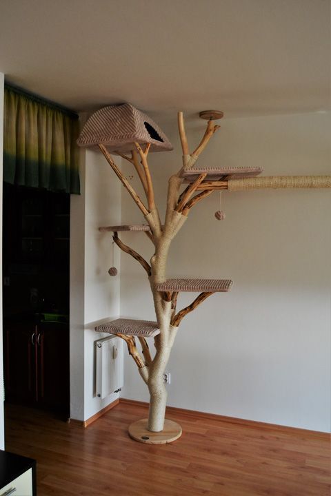 Ideas DIY para crear espacios para gatos (10)