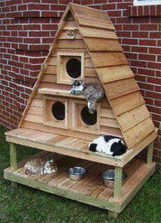 Ideas DIY para crear espacios para gatos (12)