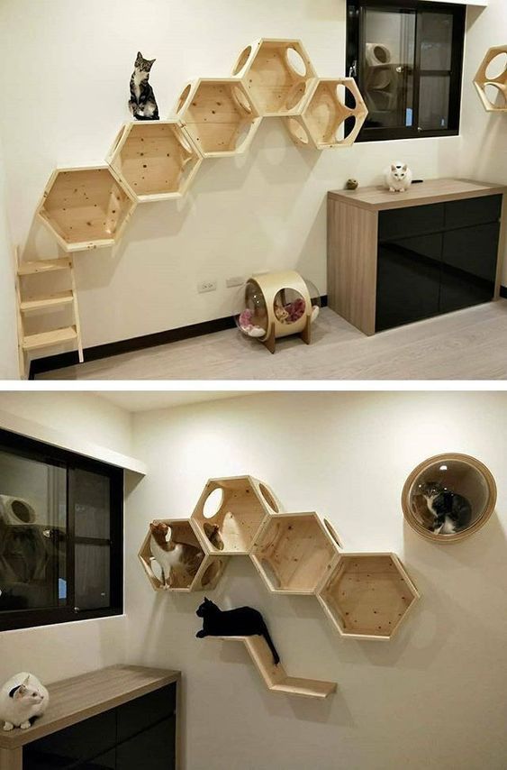 Ideas DIY para crear espacios para gatos (16)