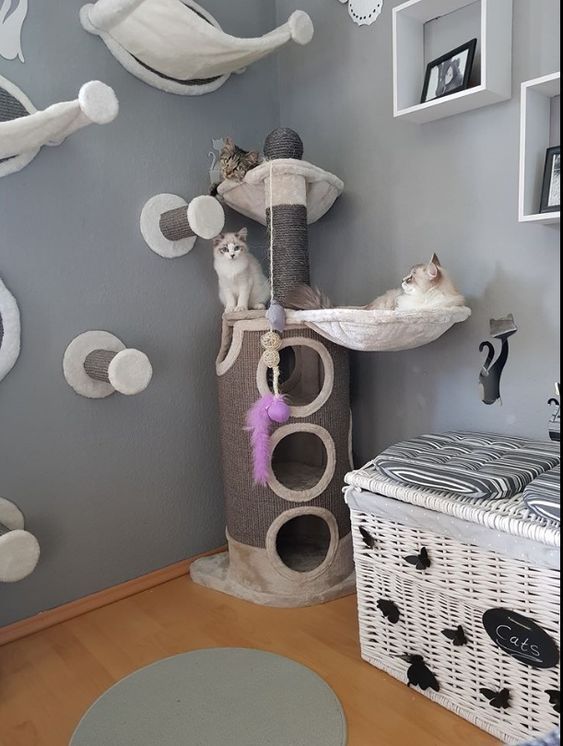 19 Ideas DIY habitación para gatos