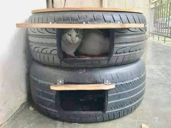 Ideas DIY para crear espacios para gatos (7)