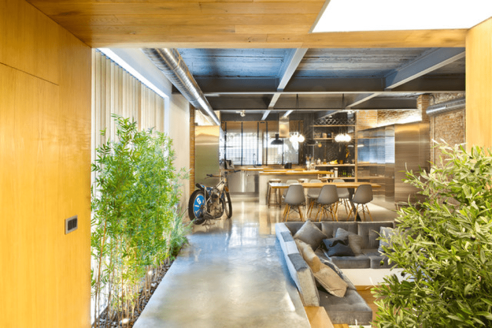 Decoración con plantas de interior